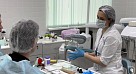 Мастер класс для будущих стоматологов