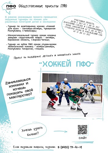 Общественные проекты ПФО: возможности для самореализации и развития