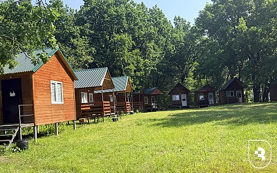 В СОЛ «Медик» стартует смена Гиппократа